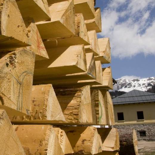 Val Fiemme e gli abeti di risonanza