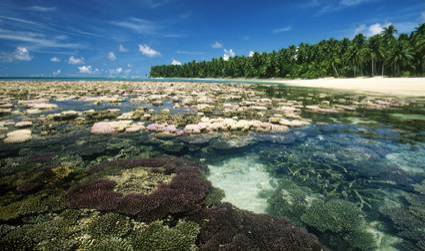 Isole Marshall