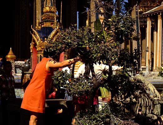 Bangkok angeli o demoni?