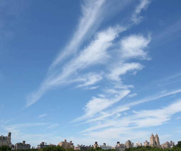 NYC Grande Mela
