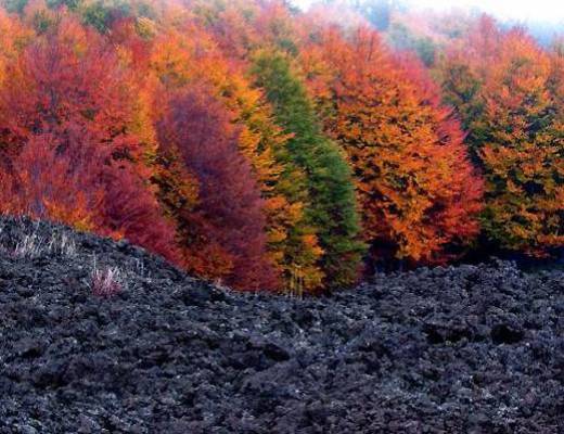 Etna glam. Vecchie e nuove tendenze all&amp;#39;ombra del vulcano