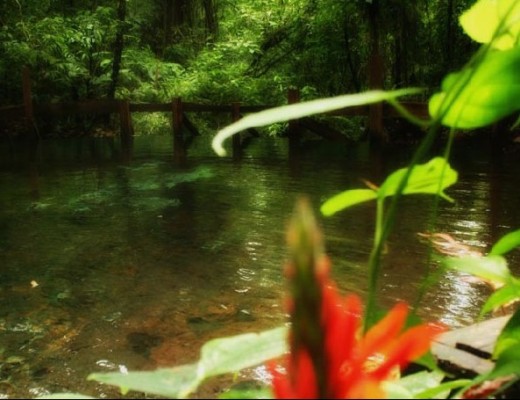 Costa Rica regina dell&amp;#39;ecoturismo
