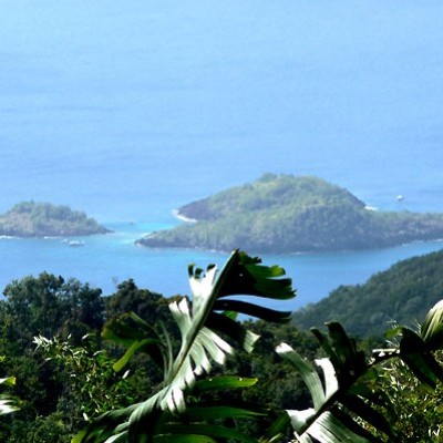 Guadalupa la farfalla dei Caraibi