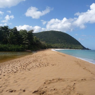 Guadalupa la farfalla dei Caraibi