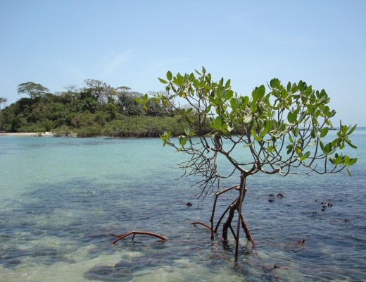 Arcipelago Bijagos