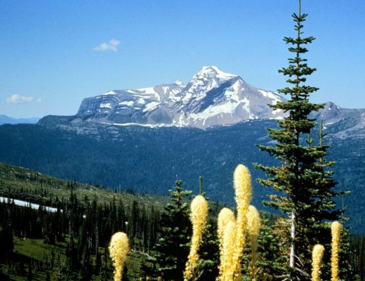 Glacier National Park