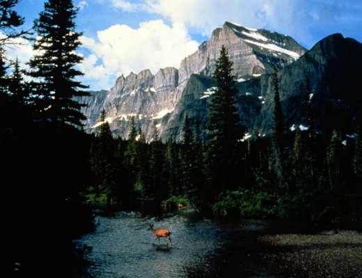 Glacier National Park