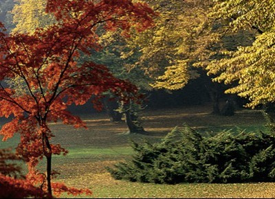 Sigurta Paradiso botanico sul Mincio