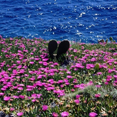 Natura toscana passo dopo passo