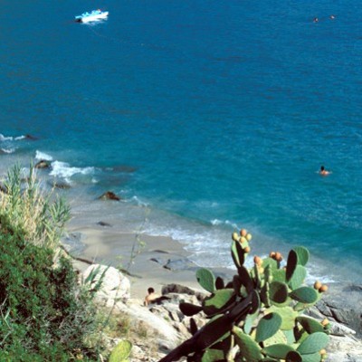 Natura toscana passo dopo passo