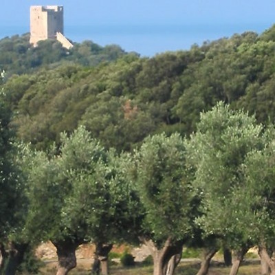 Natura toscana passo dopo passo