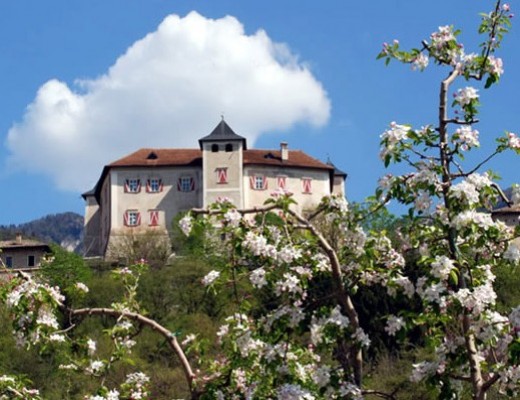 Val di Non la valle dei mieli Thun