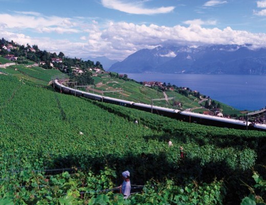 Treni di lusso
