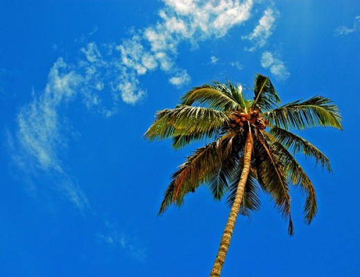 India Goa e le sue spiagge