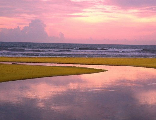 India Goa e le sue spiagge