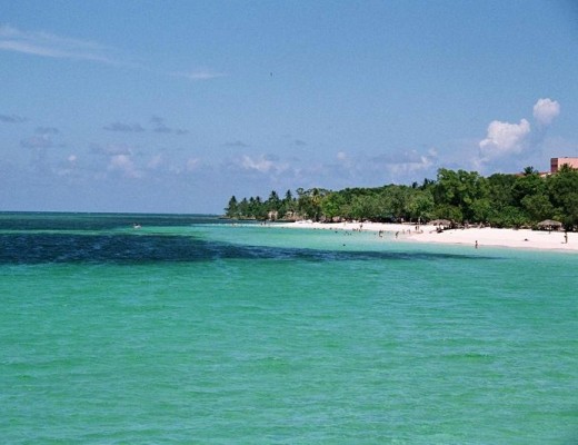 Estate tropicale