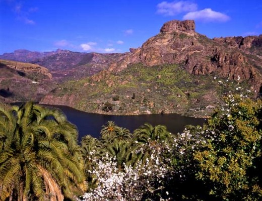 Gran Canaria un posto al sole