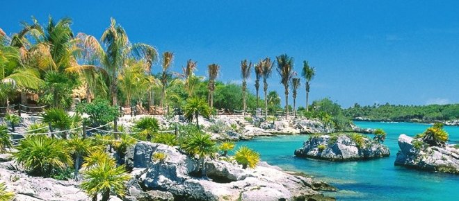 Estate tropicale