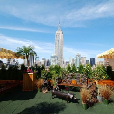 New York 230 Fifth Rooftop Garden