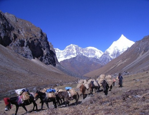 Bhutan il regno del drago