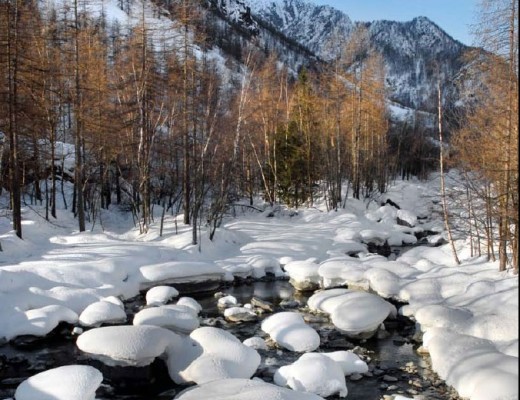 Alpi torinesi