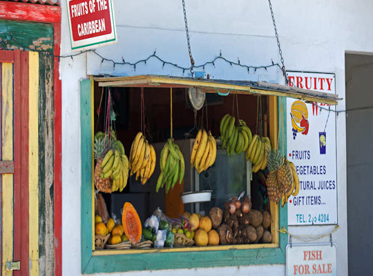 Caraibi Anguilla frutta tropicale