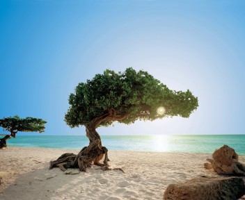 Caraibi &amp;#45; Aruba