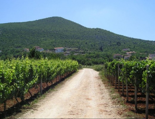 Itinerari dello spirito