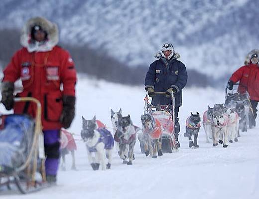 Emozioni artiche nel Nordland norvegese