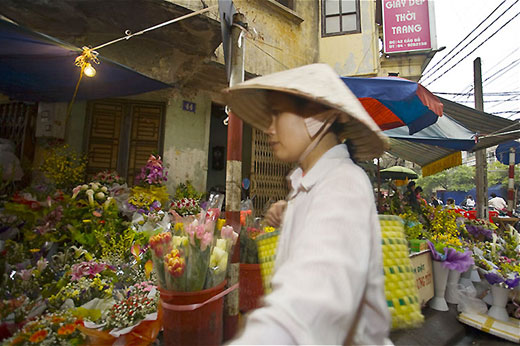 Vietnam, nuovi splendori