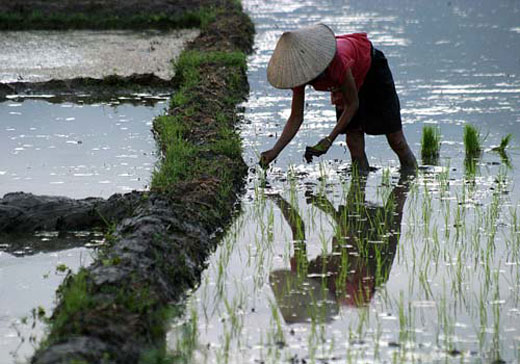 Vietnam, nuovi splendori