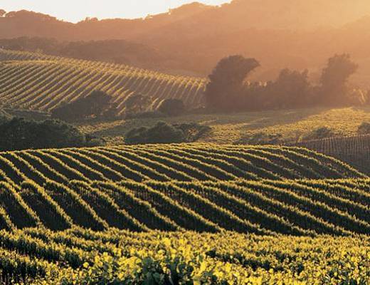 Top Wine Destinations &amp;#45; Dove il mondo &amp;#232; diVino