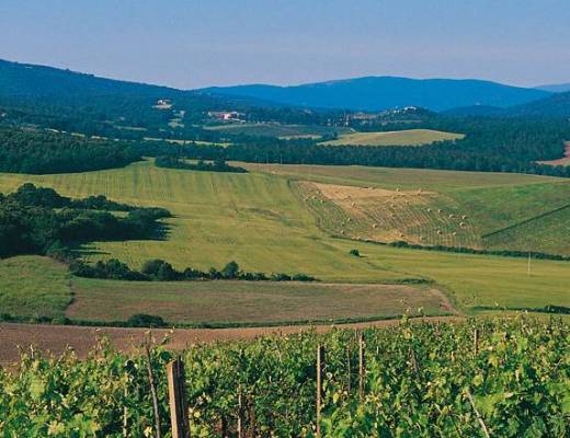 Top Wine Destinations &amp;#45; Dove il mondo &amp;#232; diVino