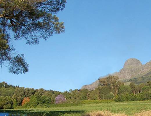 Top Wine Destinations &amp;#45; Dove il mondo &amp;#232; diVino