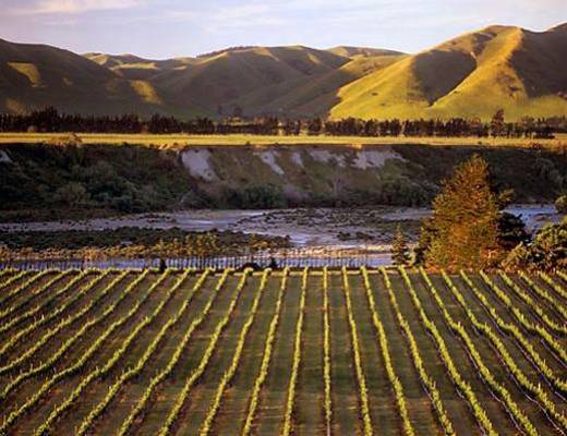 Top Wine Destinations &amp;#45; Dove il mondo &amp;#232; diVino
