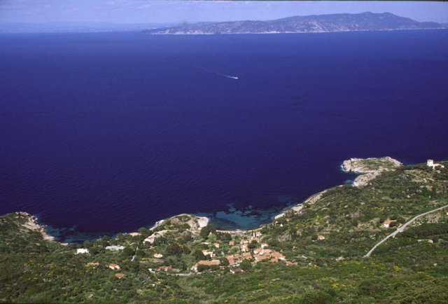 Parco Nazionale Arcipelago Toscano &amp;#45; Arenella, isola del Giglio
