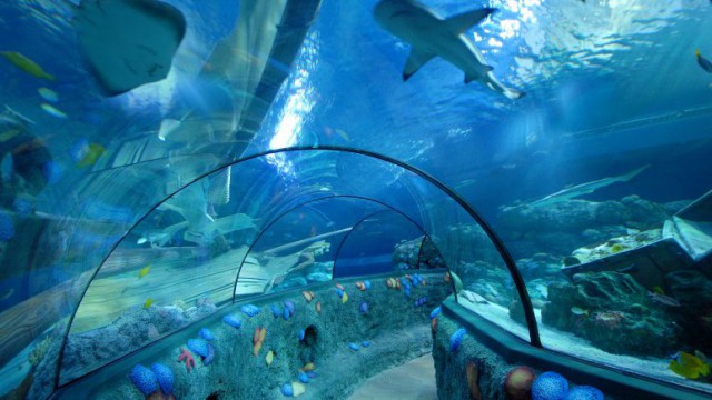 Gardaland acquario