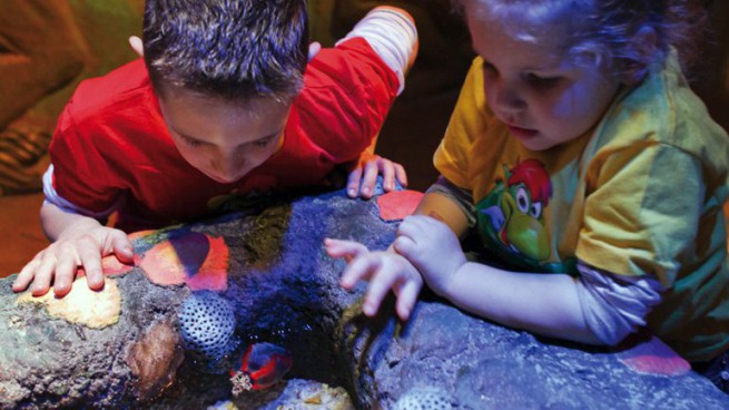 Gardaland bambini all&amp;#39;Acquario