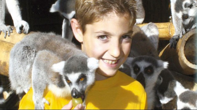 Lemuri a Mundomar Benidorm