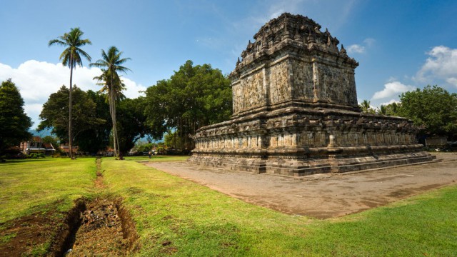 Borobudur tempio tra le palme