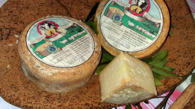 Pecorino