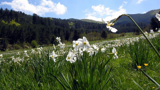 Parco Nazionale della Sila