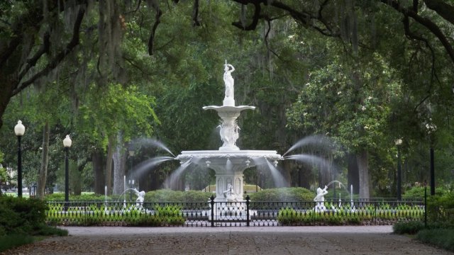 Savannah: Forrest Gump &amp;#45; miglior film nel 1995