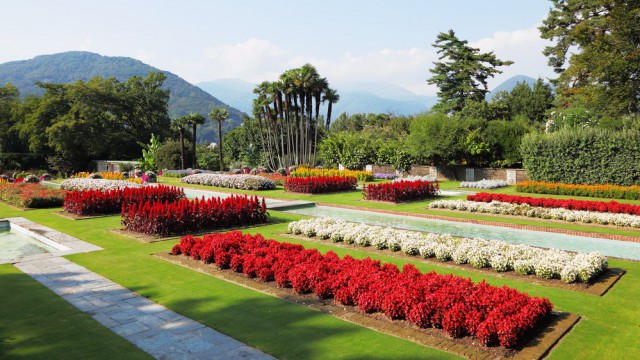 Giardino fiorito