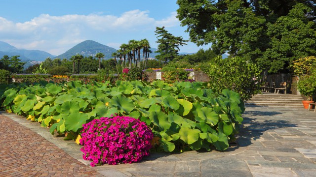 Giardino fiorito