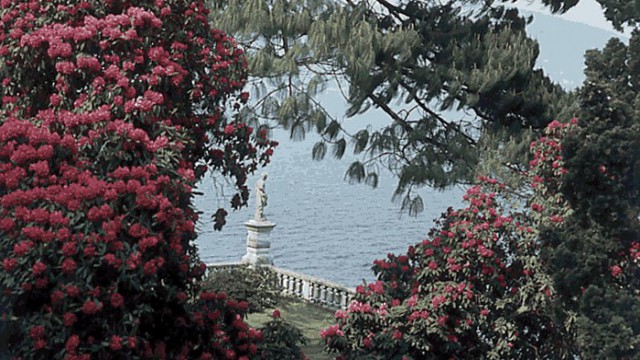Isola Bella giardino