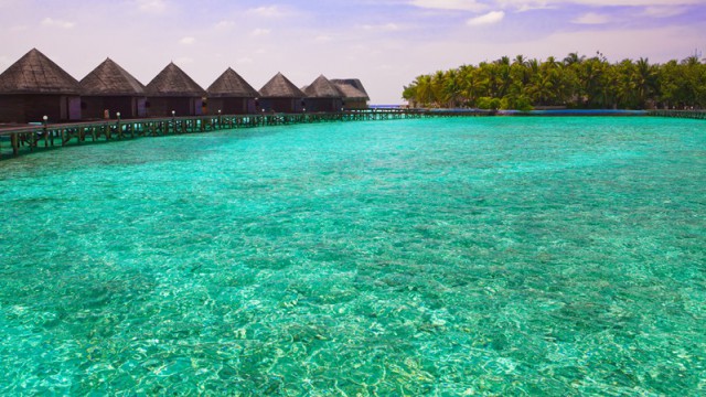 Maldive