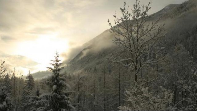 Paesaggio innevato