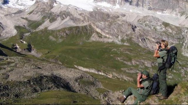 Sorveglianza parco