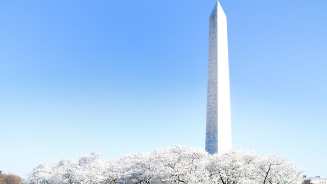 Washington DC